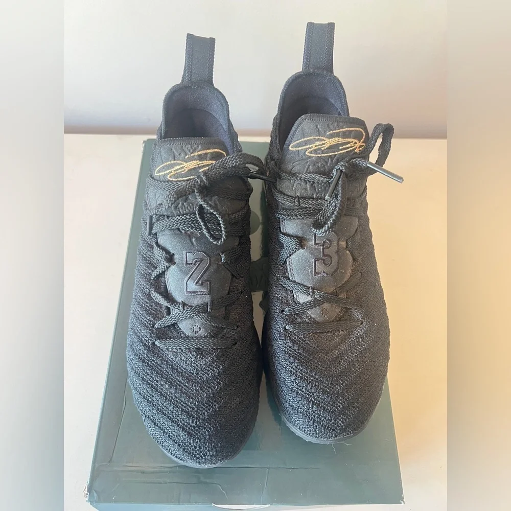 Nike LeBron James XVI Shoes